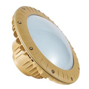  6500K Vapour Proof Led Lights 80W 100W Warehouse Lighting Explosion Proof Work Lights Manufactures