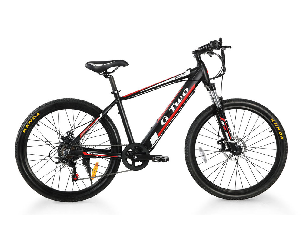 48V 10AH Lithium Battery Electric Bicycle 250W 350W Rear Front Disc Brake Mountain Bike