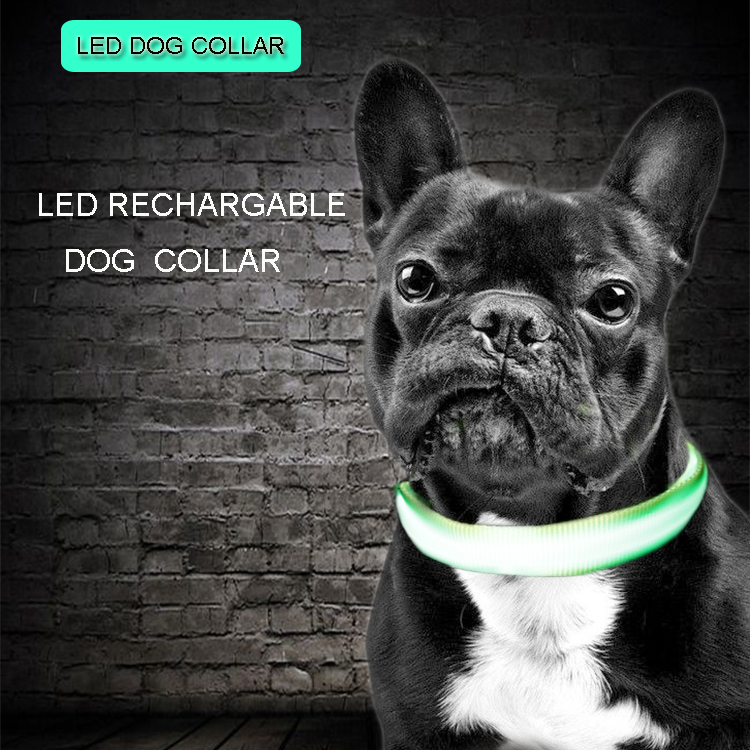 C906 Hot sale Led Popular Blinking Best Flashing Dog Collar
