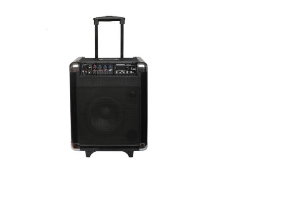 Professional Portable DJ Trolley Speaker Audio BT Battery Speaker With Disco