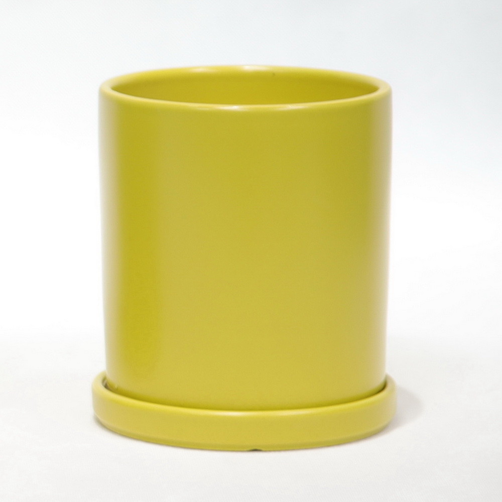 Discover The Best Selection Of Ceramic Pots For Your Plants Affordable Prices