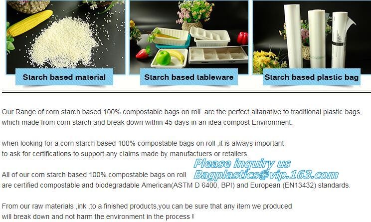 Meal Prep Containers Free Sample Bento Lunch Box Biodegradable Food Container Plastic Wheat Straw Lunch Box bagplastics