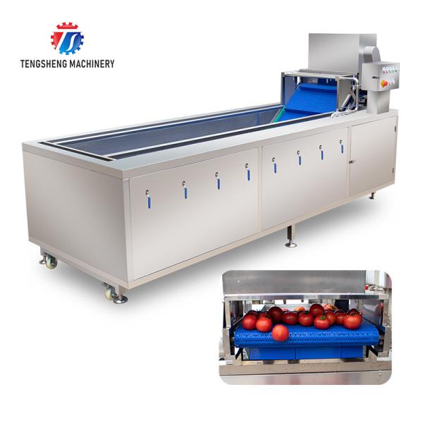 240KG Supply bubble cleaning machine multi-functional vegetable washing machine