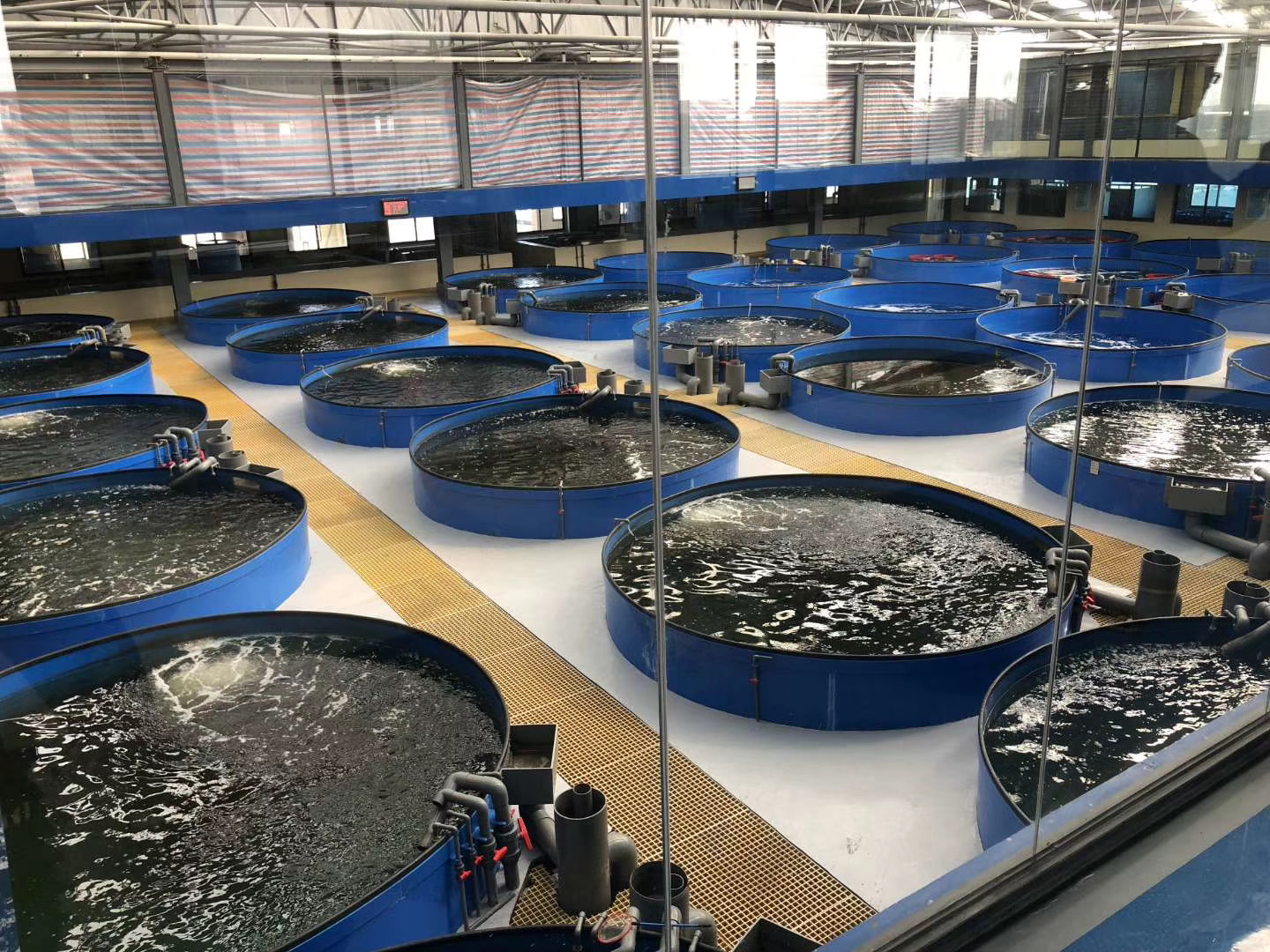 PP PVC Material Recirculating Aquaculture Drum Filter for Indoor Koi Pond Ras System