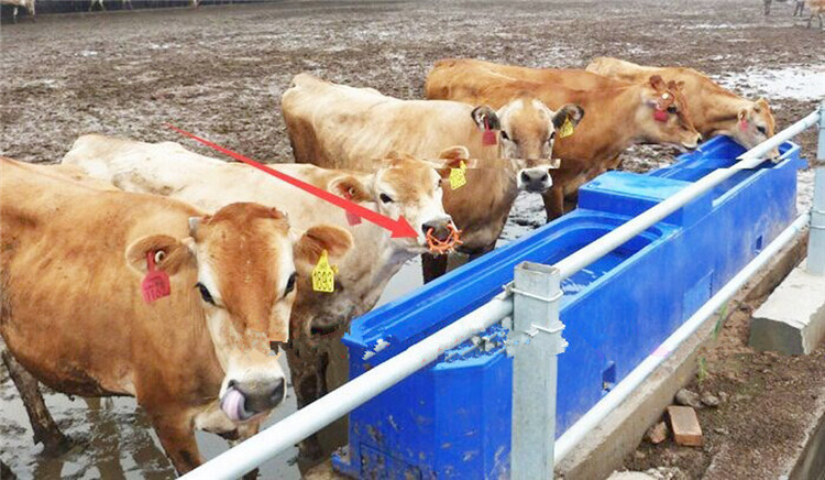 Red Plastic Calf Weaner Nose Ring Milk Sucking Preventer