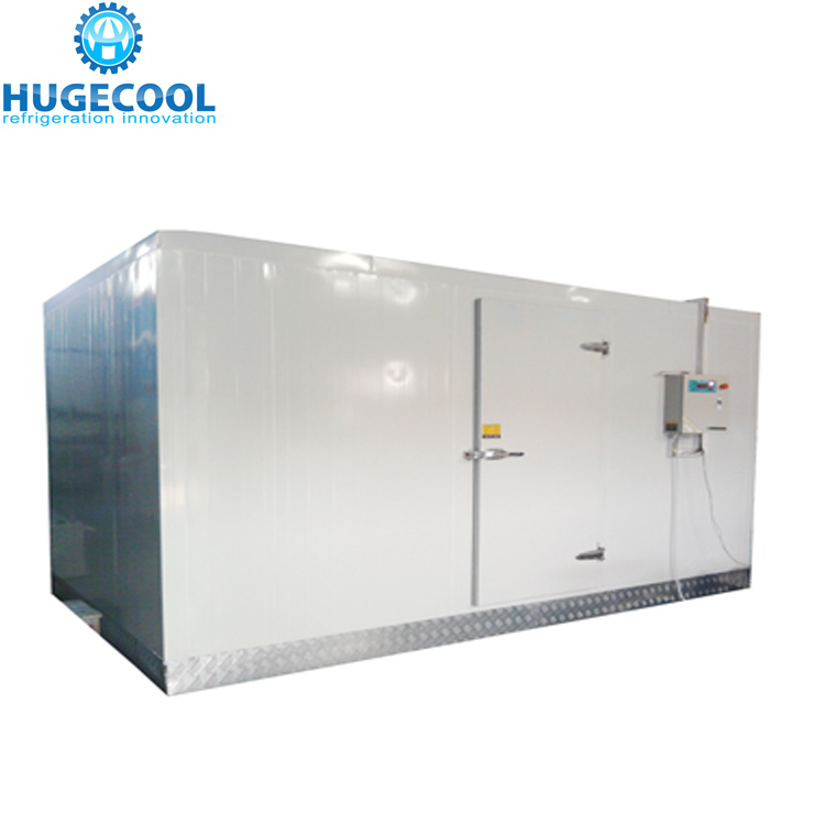 Cold Room Freezer cold room for fish