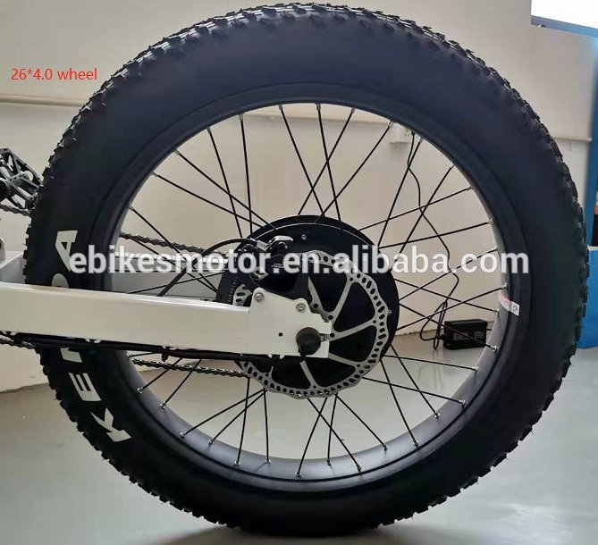 16inch 2017 electric bike 1000w and e bike 500w electric bicycle with Electric Bicycle Motor