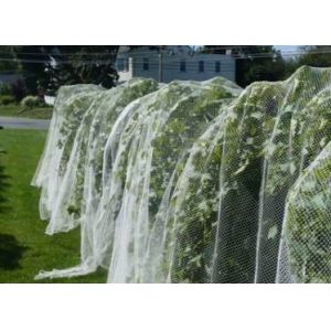 Recyclable Stronger Hex Mesh Insect Netting Mesh High Tensile Strength