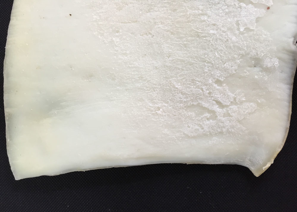 Semi Dried Squid Body White Color