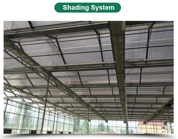 PC Greenhouse for Multi-Span Agricultural Greenhouses Section 8.0m Strong Structure