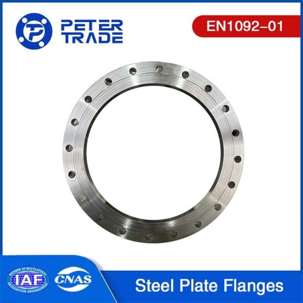 EN1092-01 SS304 SS316 Plate Flange TYPE 01 High Pressure PN 100 PLFF DN10-DN350