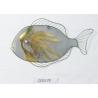 Buy cheap Colorful Minimalism Ocean Large Metal Fish Wall Decor from wholesalers