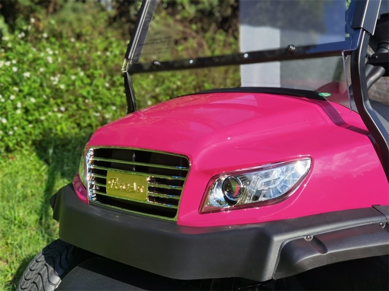 M series 48V 2+2 Seater Golf Buggy with Trojan Battery