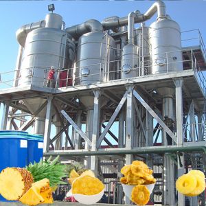 Automatic Pineapple Juice Beverage Processing Line PLC Intelligent Control