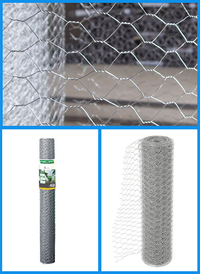 1.4mm 2 Inch Mesh Chicken Wire Netting Galvanised Hexagonal ISO 9001 Anti Rust
