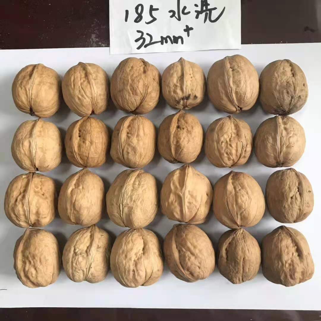A large number of cheap Xinjiang high-quality XIN2 walnuts for wholesale Amazon’s best-selling products
