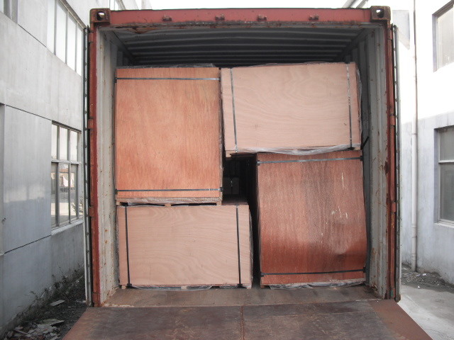 18mm Black Film Faced Plywood For Formwork Building
