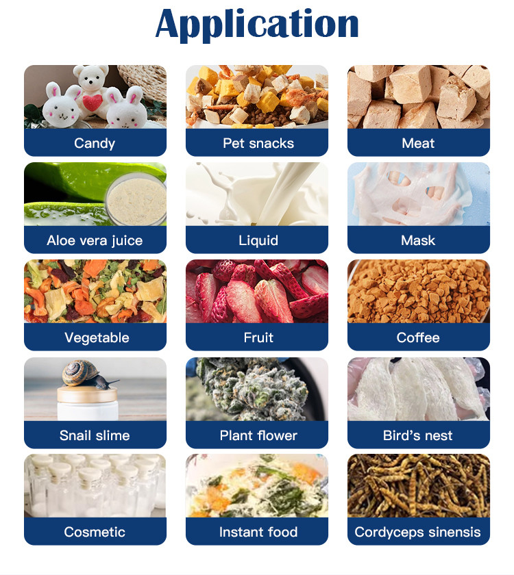 50kg Commercial Fruits Vegetables Candy Lyophilizer Food Freeze Drying Machine