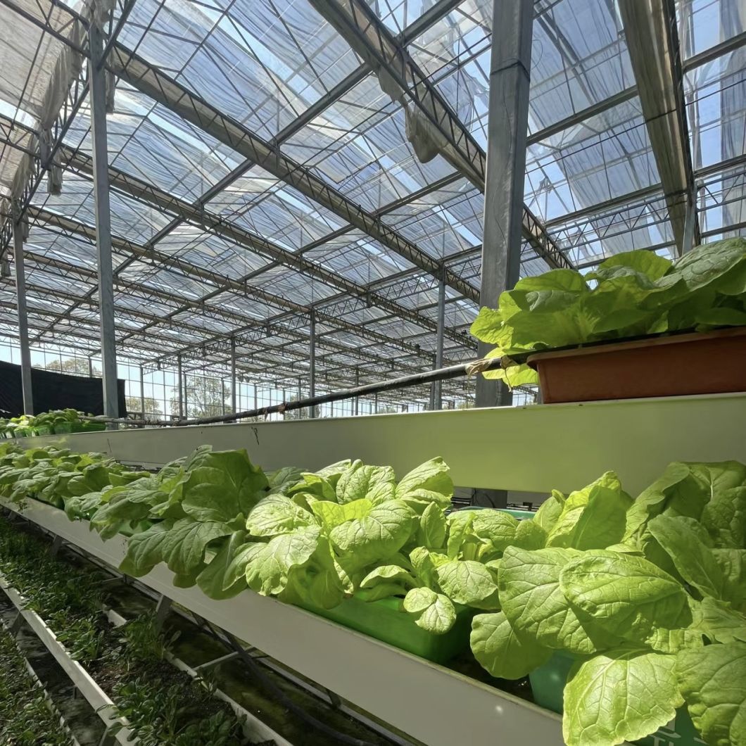 Chinese Origin Hydroponic Glass Greenhouse for Flower Cultivation