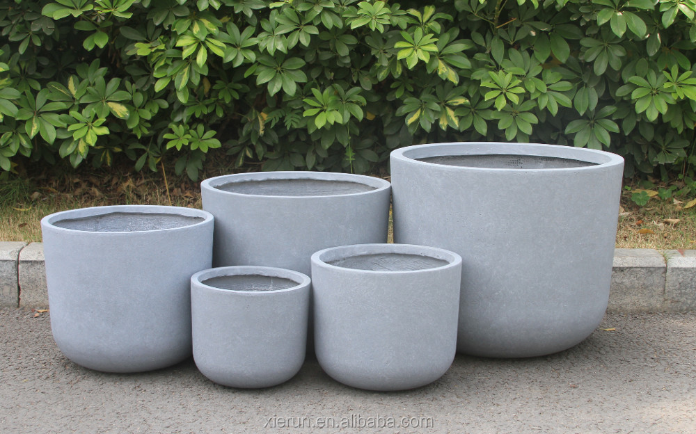 Wholesale Real Plant Display With Fiber Clay Planters Decoration