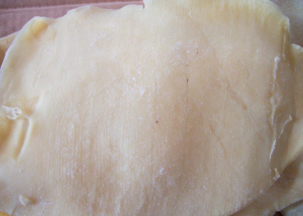 Semi Dried Squid Body White Color