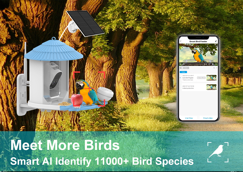 IP66 Waterproof 4MP Smart Bird Feeder 2.5L Wildlife Smart Bird Camera