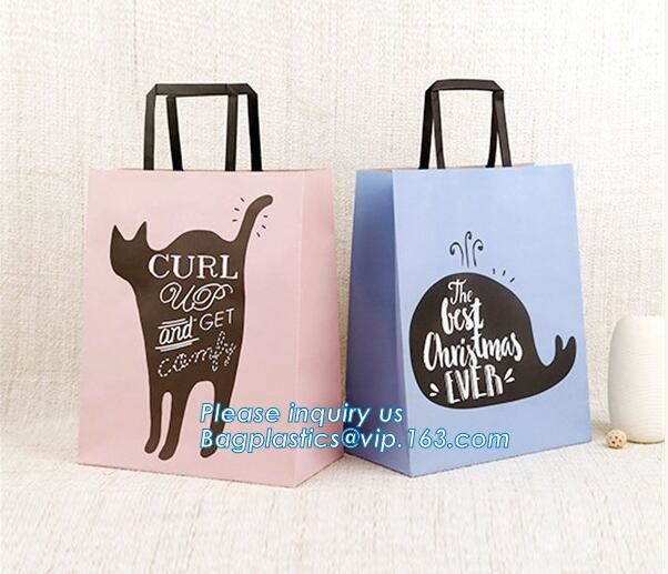 Luxury Rope Handle Laminated Paper Carrier Bags,brand Luxury laminated manila carrier paper hand bag, bagplastics, bagea