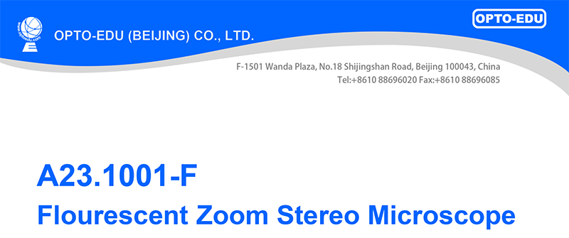 A23.1001-F Flourescent Stereoscopic Zoom Microscope Wf15x