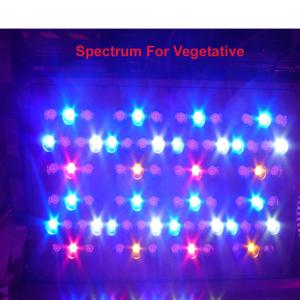 China Vertical hydroponic systems 5W CIDLY light led grow 200Watt led indoor plant grow lights on sale