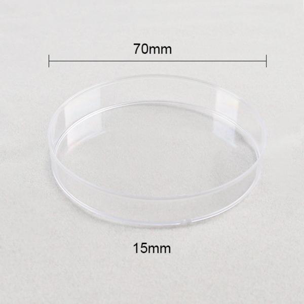 70mm Bacterial Cell Culture Plastic Petri Dishes With Lids Culture Dishes