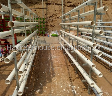 PP Hydroponic Tomato Growing Dutch Bucket System for Vegetables