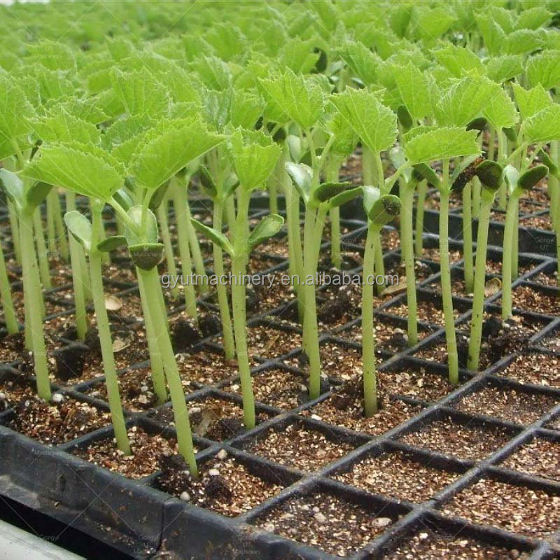 Customised 600*700*800mm Professional Pumpkin Seeds Tray Seeder for Nursery Planting