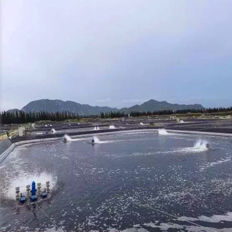 500 micron HDPE Geomembrane Shrimp Pond Liner for Durable Shrimp Farming in Indonesia