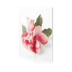 China p3 glass wall transparent screen EXCEL LED on sale