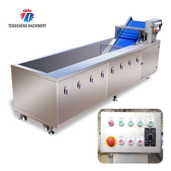 240KG 380V Automatic stainless steel fruit washing machine fruit cleaning