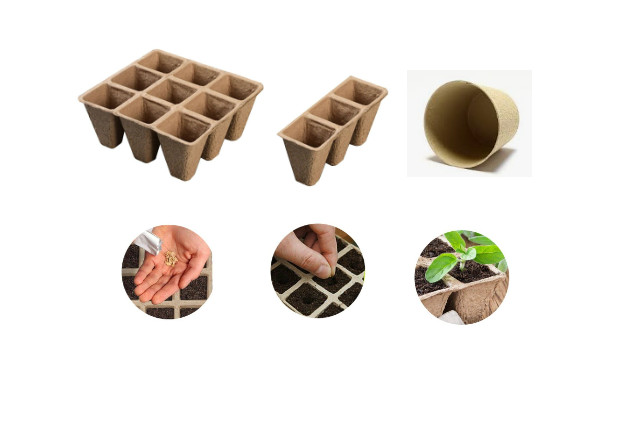 Paddy Nursery Tray Machine Automatic Fiber Process Forming Machines