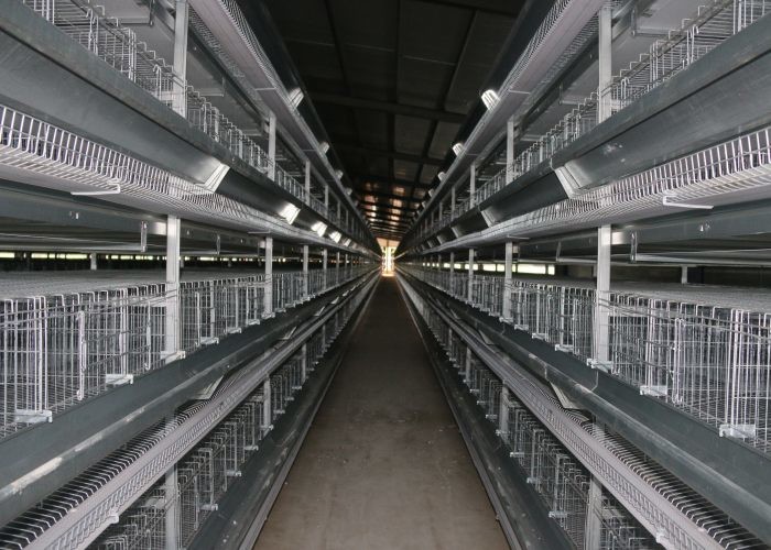 Energy Saving Industrial Chicken Coop 3 Tiers Poultry Breeding Cages