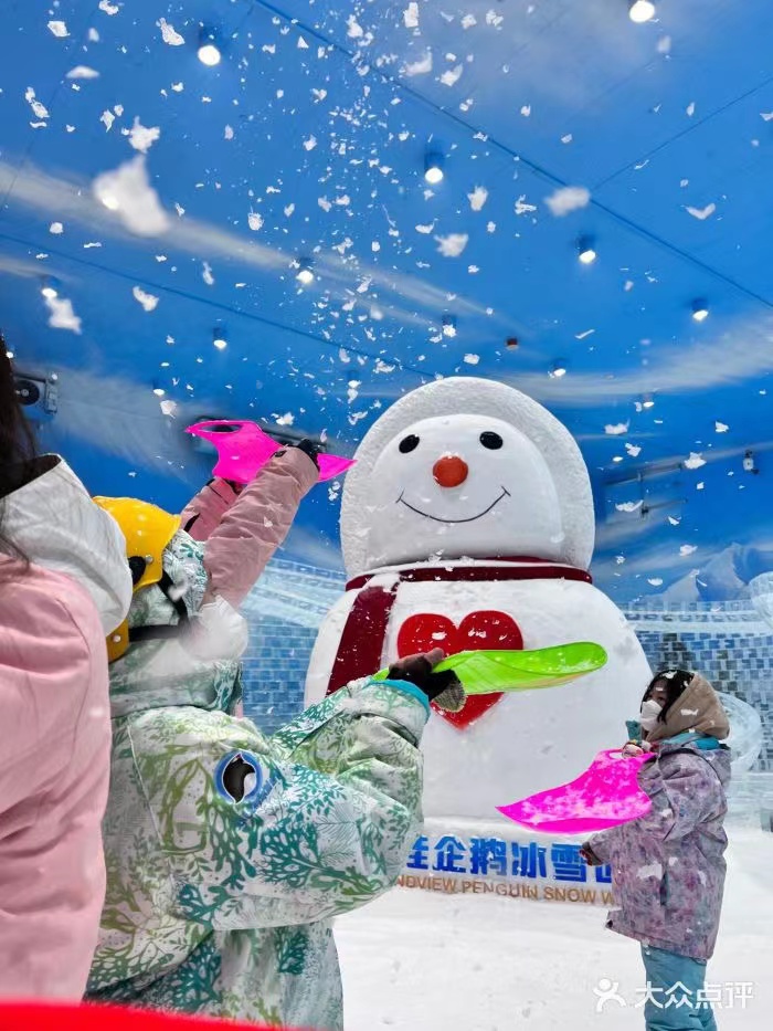 Transform Your Shopping Mall with Hitec Snow Falling Machine Create Your Own Snow Room