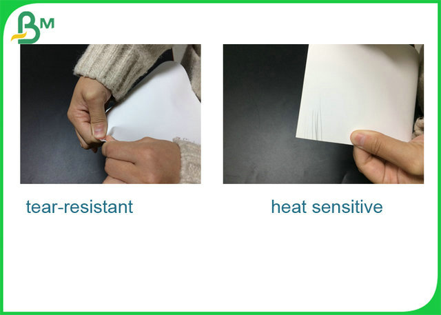 Not Torn 130gr 150gr 180gr Thermal Coating Synthetic Paper For Label Printing 