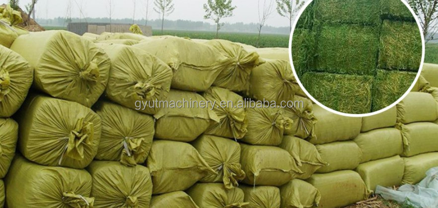Automatic Grade Packaging Machine for Shaving Press Bagging Baler at 2023 Arrival