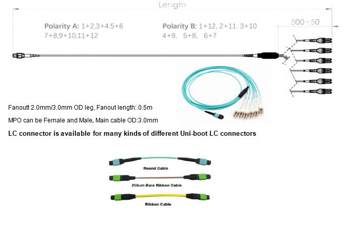12 Fibers MPO to LC OM4 Fiber Optic MPO-LC 2.0mm Straight harness Cables