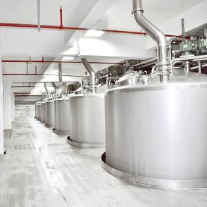  Automatic Mango Processing Line For Fruit Juice Processing 110V Manufactures