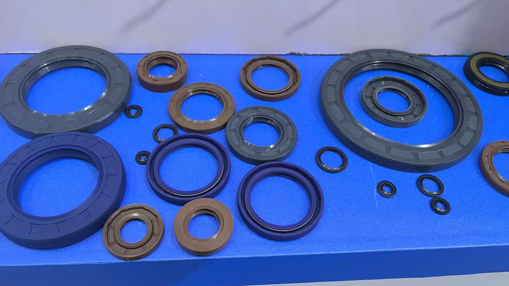 Double Lip FKM Oil Seal Mechanical O Ring Seal Hydraulic Pump Oil Sealing