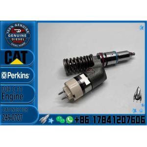 Excavator Common Rail C13 C11 Fuel Injector 2915911 3920216 249-0705 249-0707