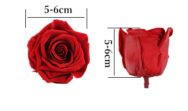 Forever Roses Gold Heads , Preserve Real Flowers Heads For Christmas Decoration