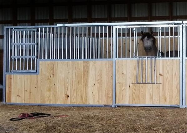 Heavy Duty Horse Stable Box Equipment with Bamboo Board Hot Dip Galvanized