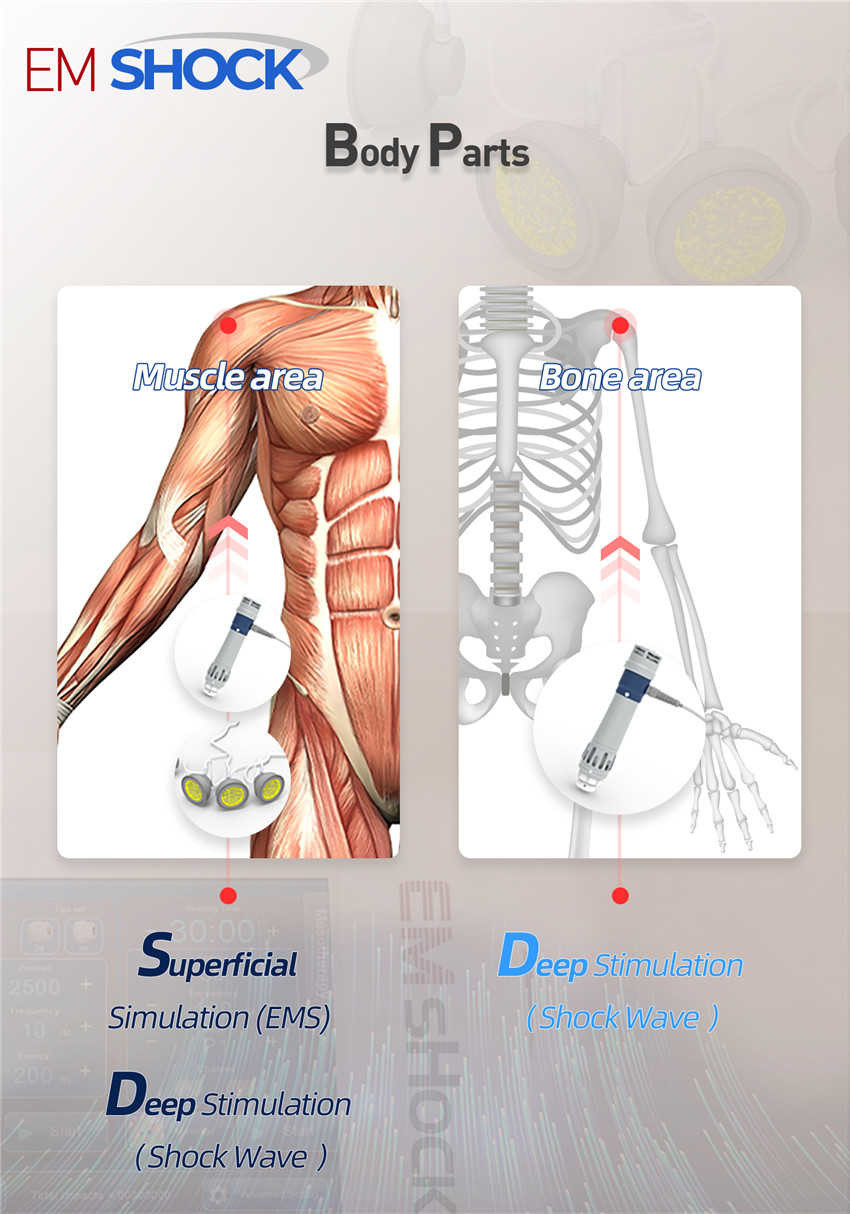 Mobile Muscle Relaxer Machine , Electric Shock Machine For Muscles Easy Use