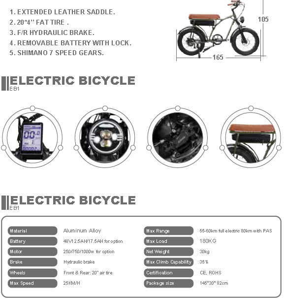 EB1 20" Air Tire Electric Bike With F&R Hydraulic Brake