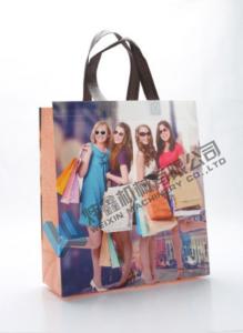  Cheap Price Custom Printed Eco Friendly Tote Grocery Shopping Fabric PP Laminated Recyclable Non Woven Bag Manufactures