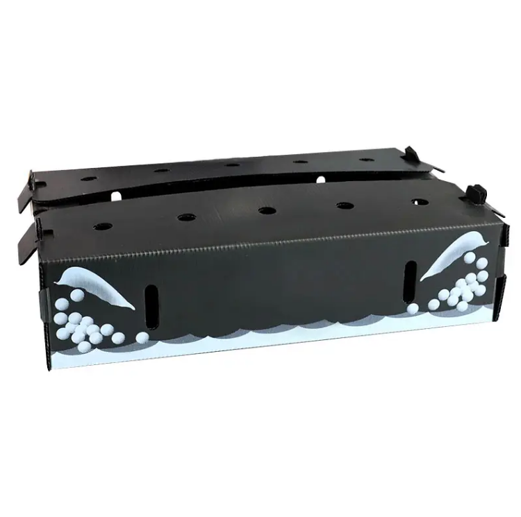 PP Fruit Packaging Box Turnover OEM ODM Printable Corrugated Plastic Waterproof 0